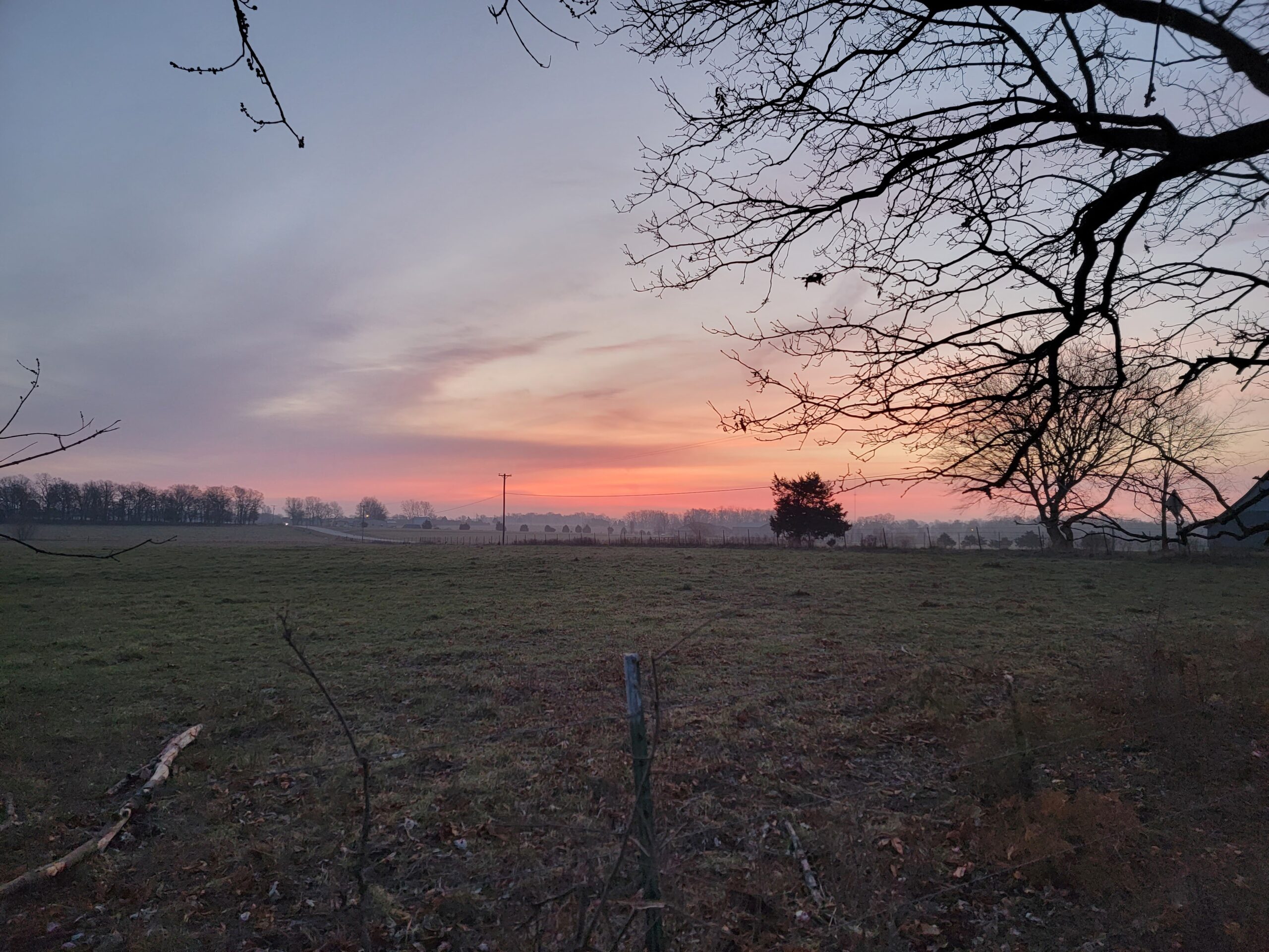 Sunset over the Field