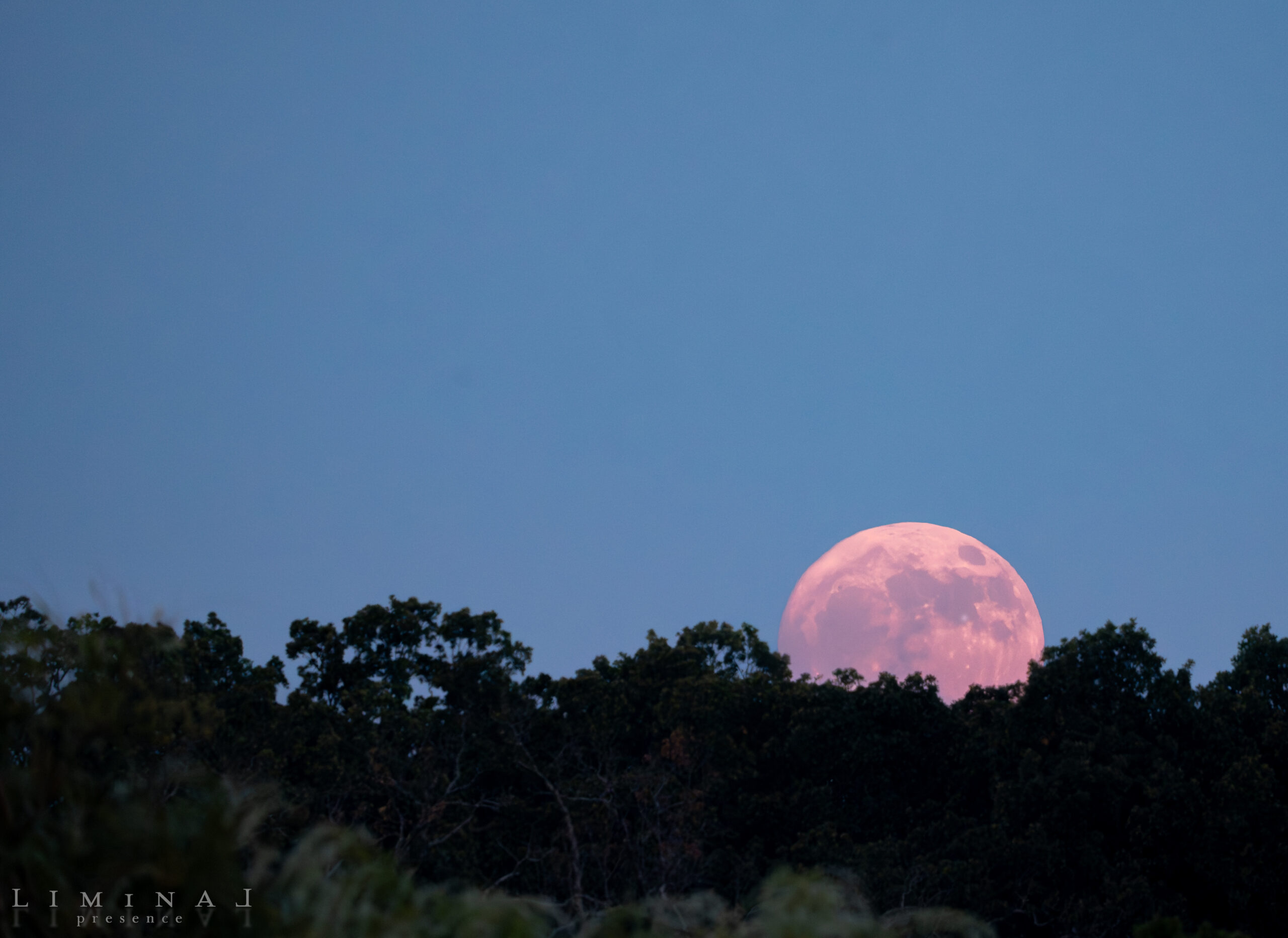 Supermoon Rising